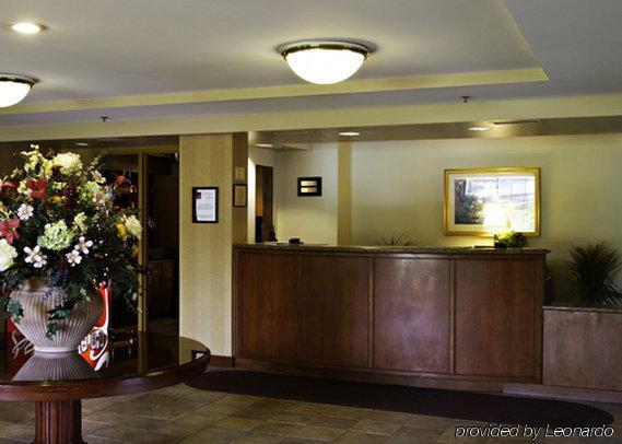 Holiday Inn Baltimore BWI Airport, An Ihg Hotel Linthicum Interieur foto